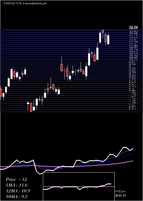 Daily chart IntelliaTherapeutics