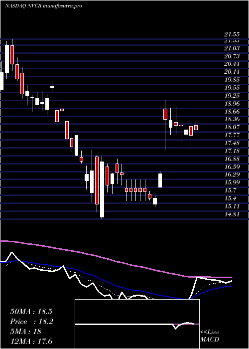 Daily chart Novocure