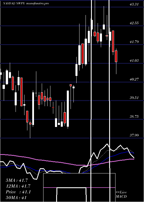 Daily chart NorthwestPipe