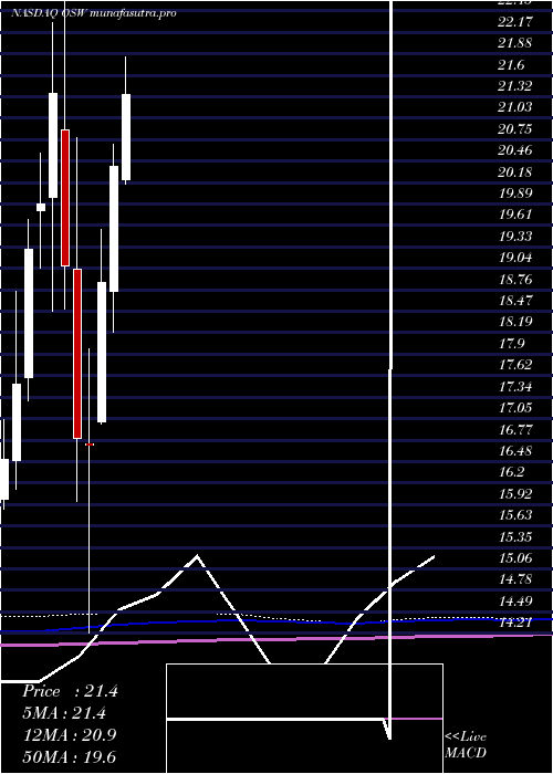 monthly chart OnespaworldHoldings