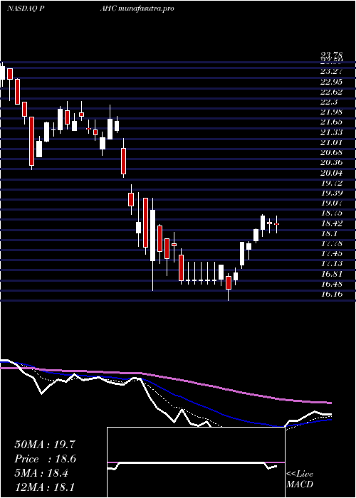 Daily chart PhibroAnimal