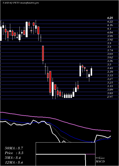 Daily chart PetmedExpress