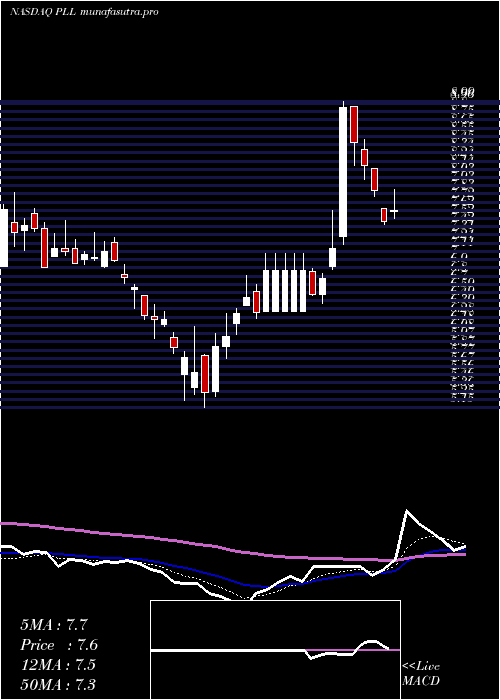 Daily chart PiedmontLithium