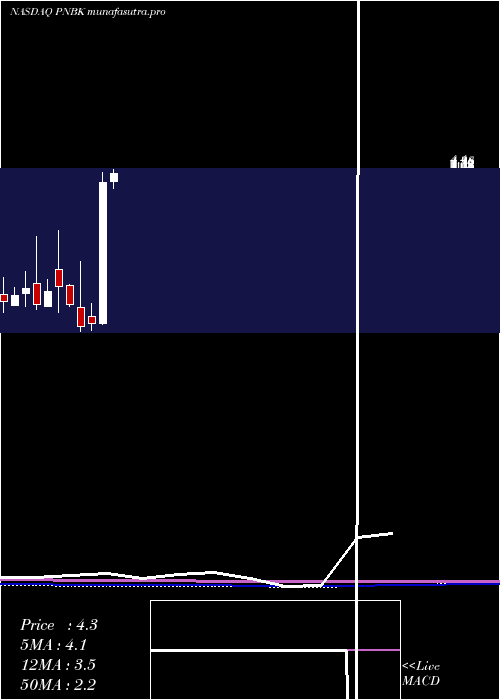 monthly chart PatriotNational
