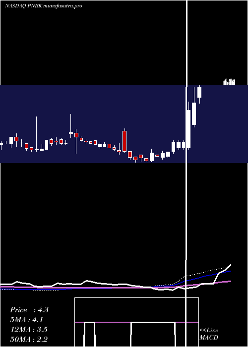 weekly chart PatriotNational