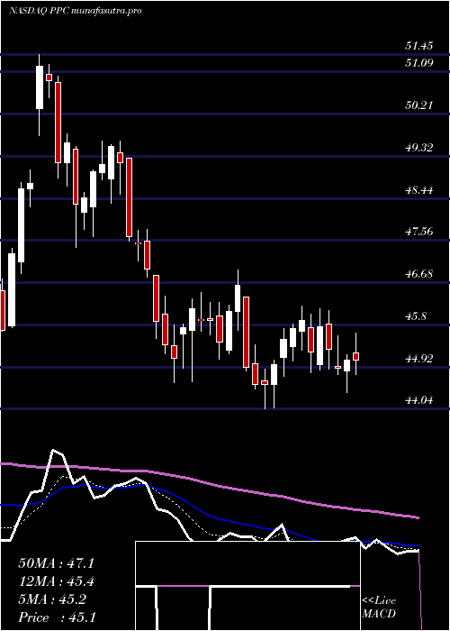 Daily chart PilgrimS