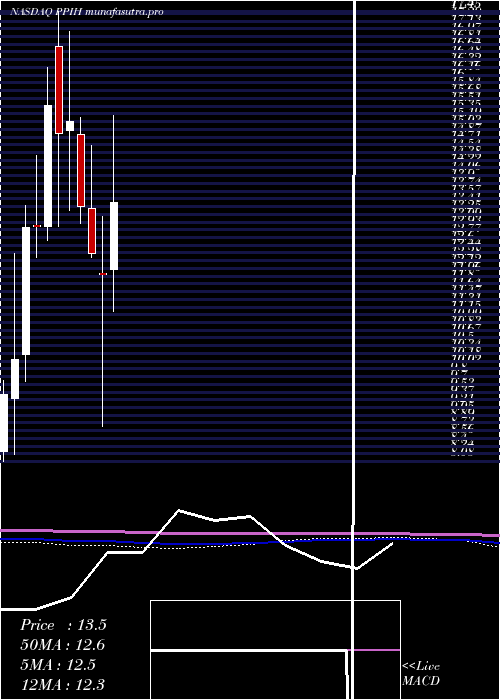 monthly chart PermaPipe