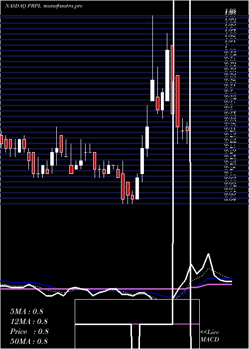 Daily chart PurpleInnovation