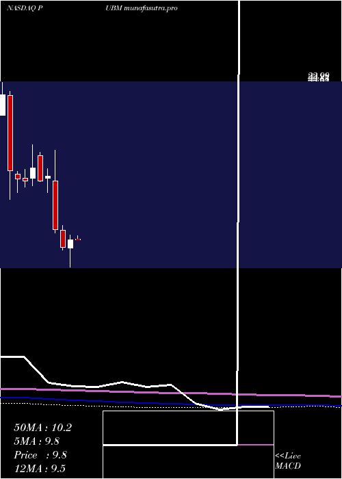 monthly chart PubmaticInc