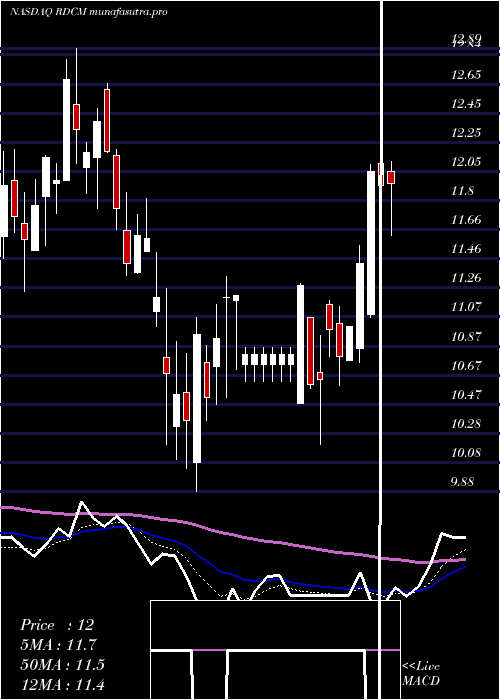Daily chart Radcom