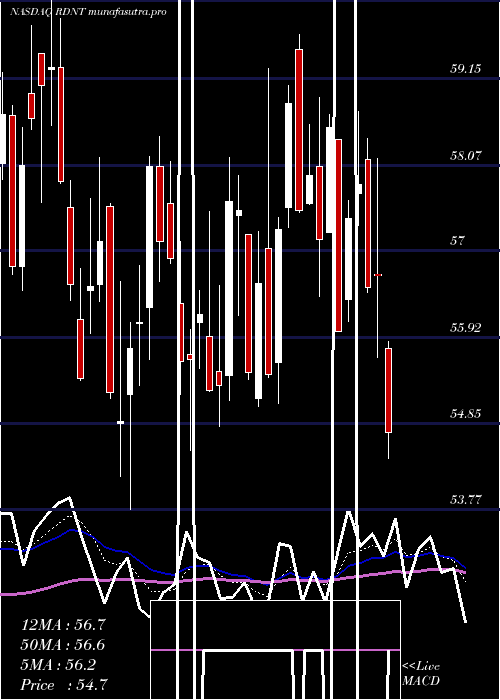  Daily chart RadnetInc