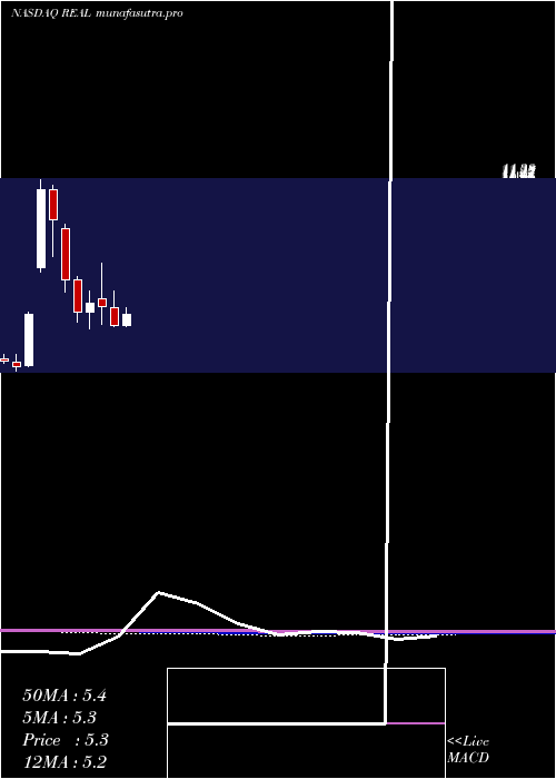 monthly chart RealrealInc