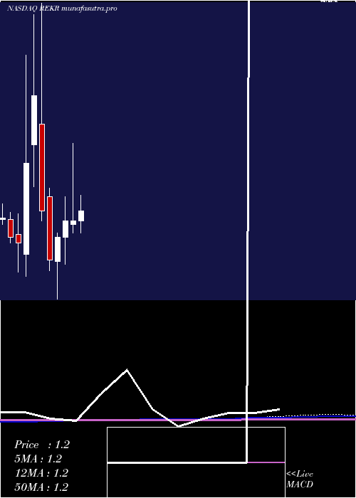 monthly chart RekorSystems