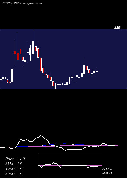 weekly chart RekorSystems