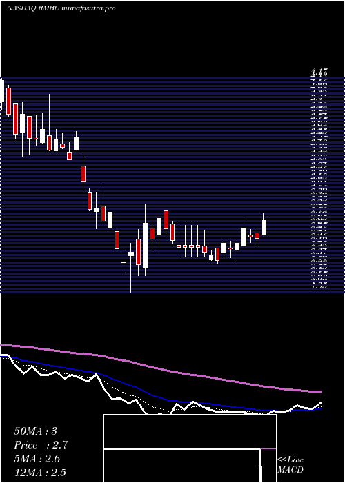 Daily chart RumbleonInc