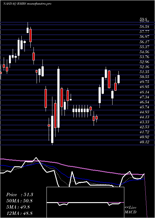 Daily chart RambusInc