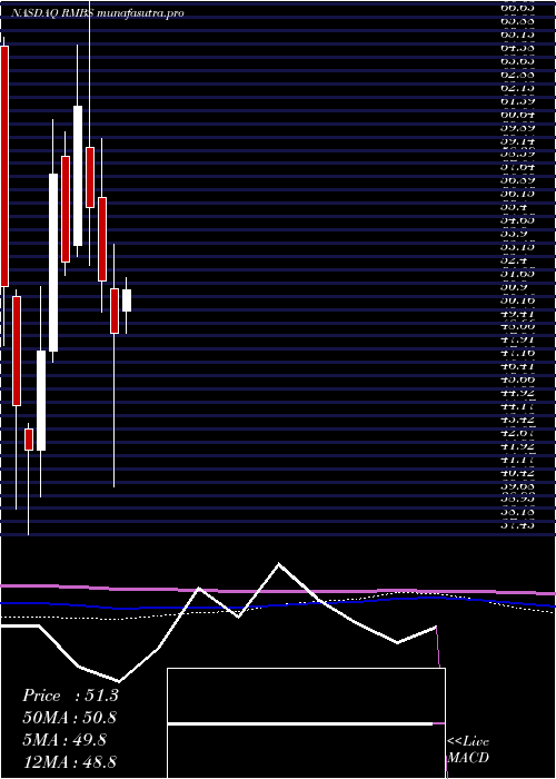 monthly chart RambusInc