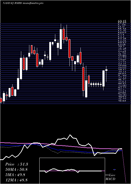 weekly chart RambusInc