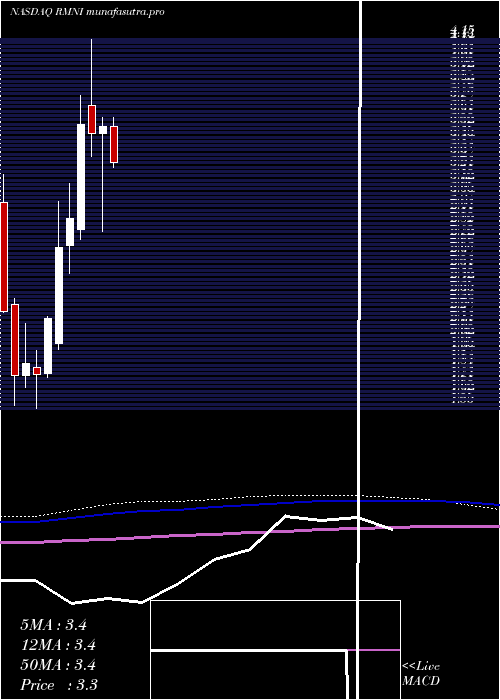 monthly chart RiminiStreet