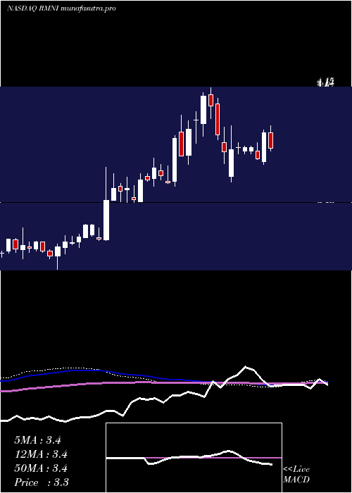 weekly chart RiminiStreet