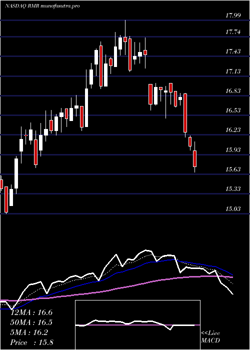 Daily chart RmrGroup