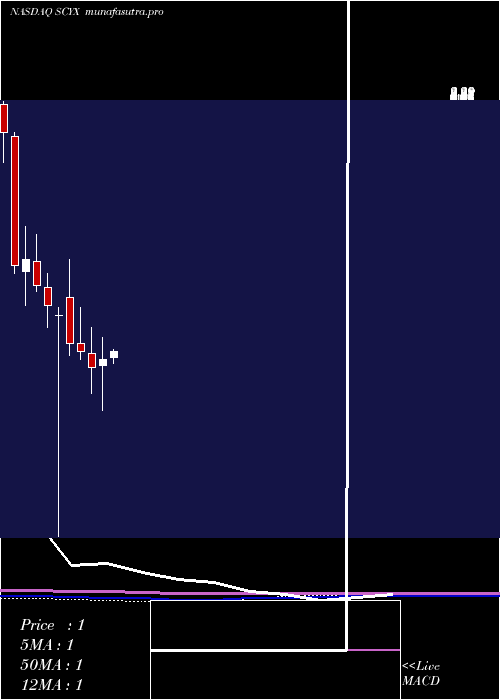 monthly chart ScynexisInc