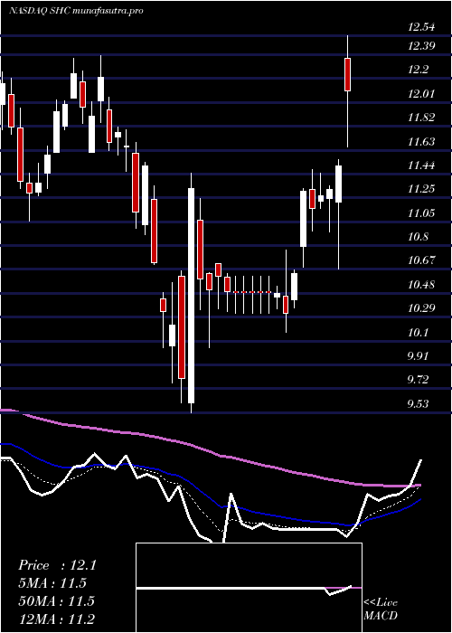 Daily chart SoteraHealth