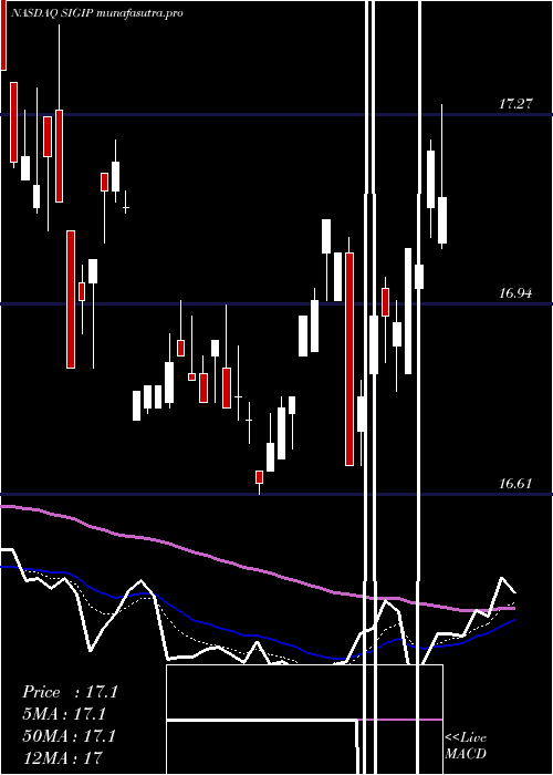 Daily chart SelectiveInsurance