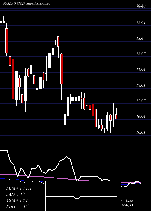 weekly chart SelectiveInsurance
