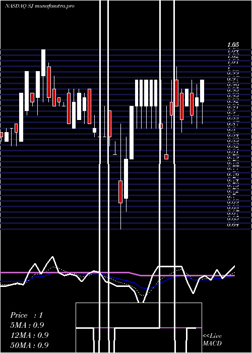Daily chart ScienjoyHolding