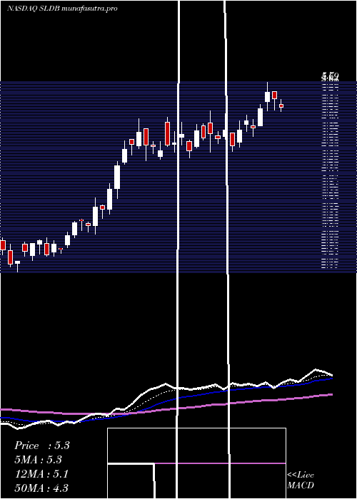 Daily chart SolidBiosciences