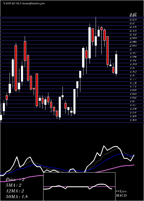 Daily chart SellasLife