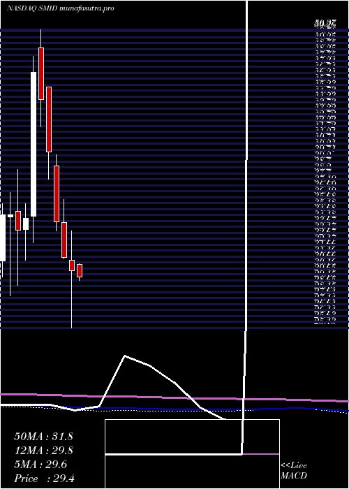monthly chart SmithMidland
