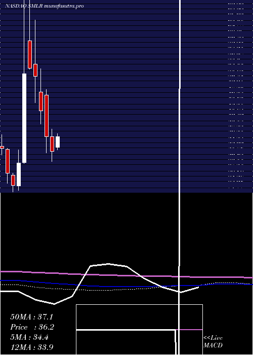 monthly chart SemlerScientific
