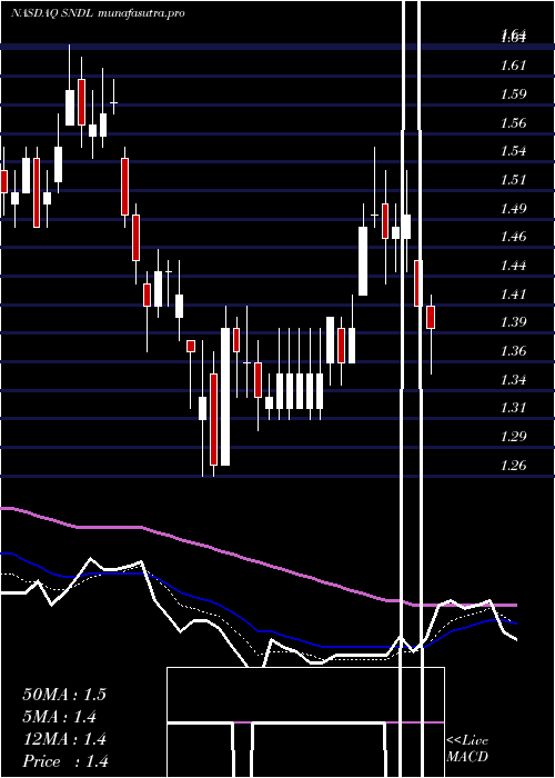 Daily chart SundialGrowers