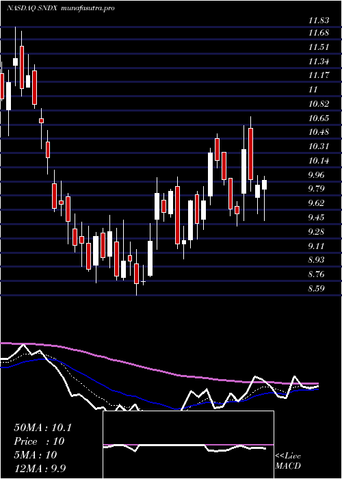  Daily chart SyndaxPharmaceuticals
