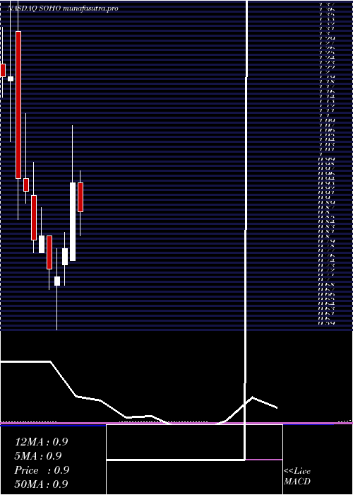 monthly chart SotherlyHotels