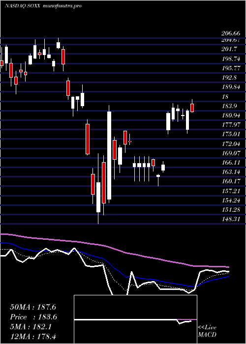 Daily chart IsharesPhlx