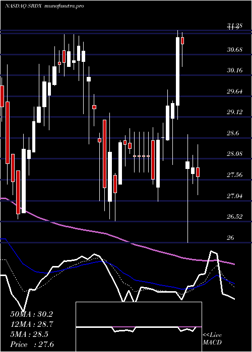 Daily chart SurmodicsInc