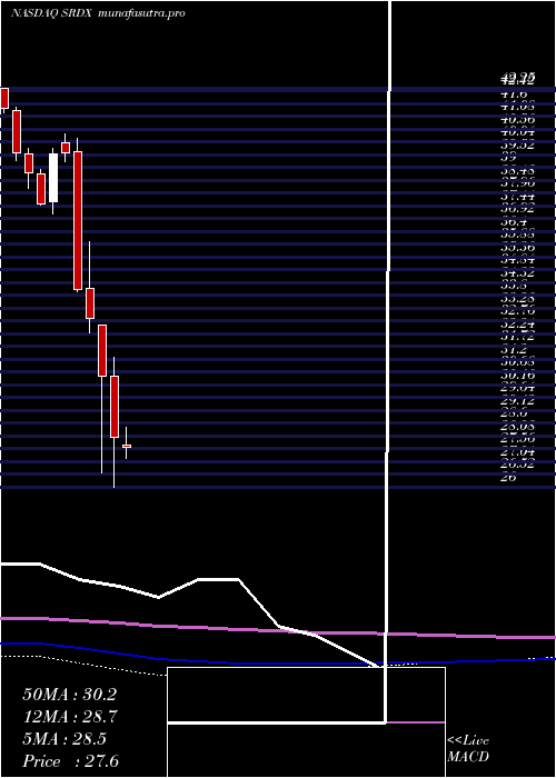 monthly chart SurmodicsInc
