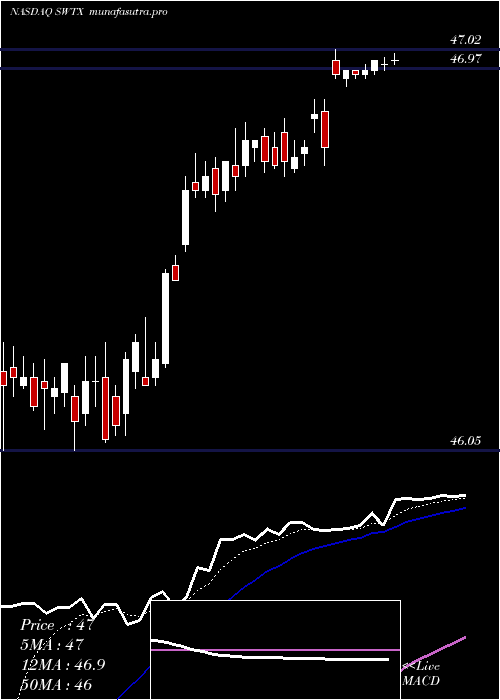 Daily chart SpringworksTherapeutics