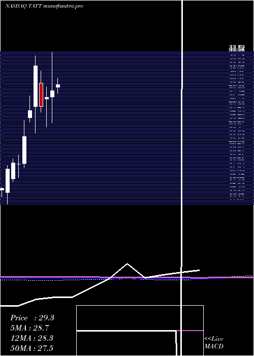 monthly chart TatTechnologies