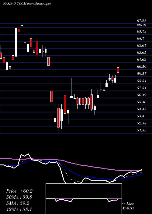 Daily chart TripCom