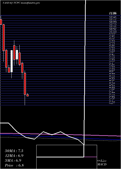 monthly chart BlackrockTcp