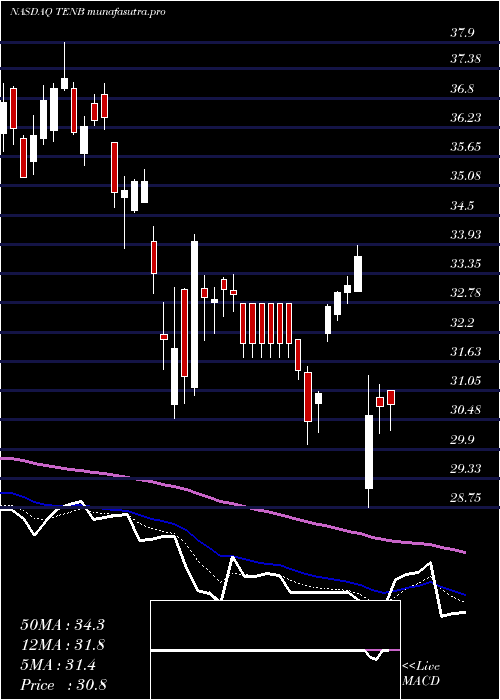 Daily chart TenableHoldings