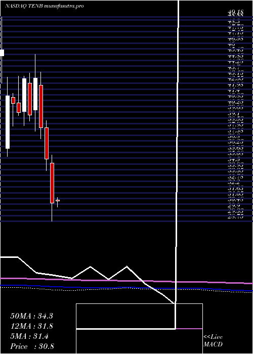 monthly chart TenableHoldings