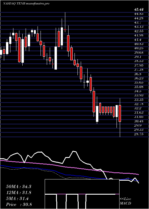 weekly chart TenableHoldings