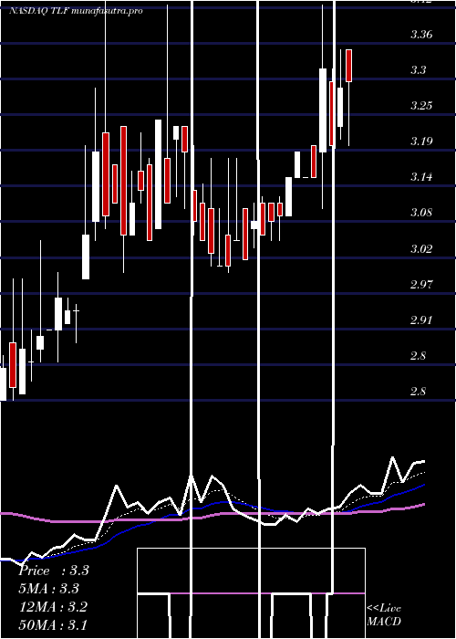 Daily chart TandyLeather