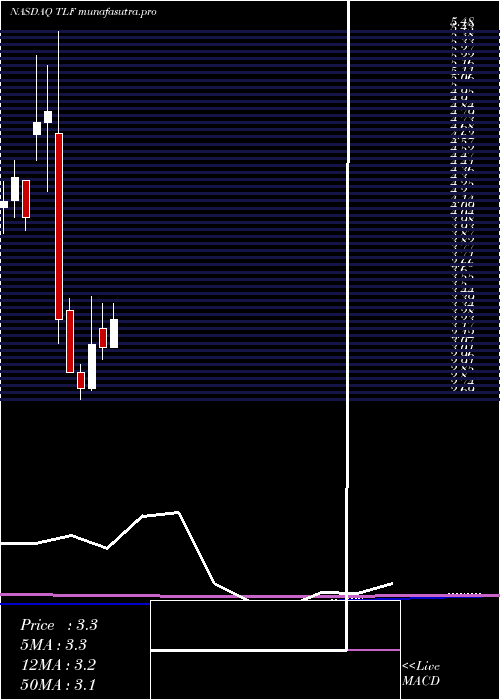 monthly chart TandyLeather