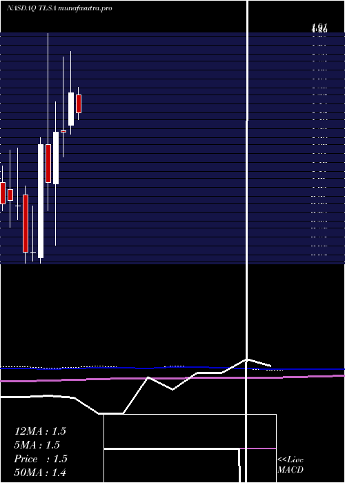 monthly chart TizianaLife